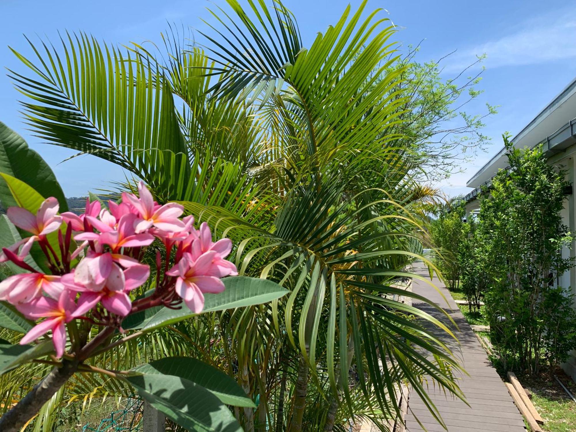 Cloud9 Holiday Cottages Pantai Cenang  Eksteriør bilde