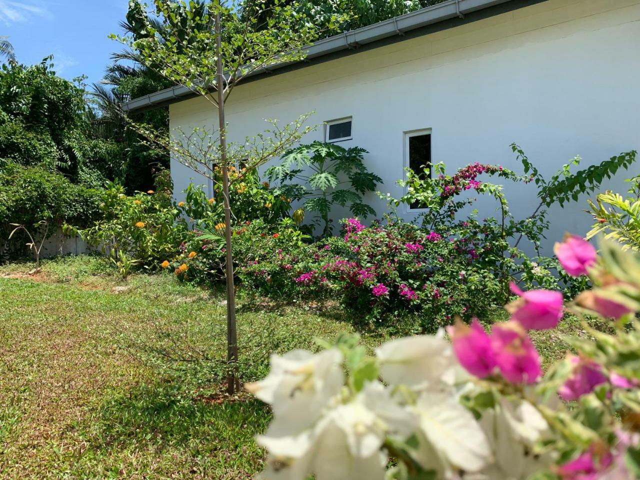 Cloud9 Holiday Cottages Pantai Cenang  Eksteriør bilde